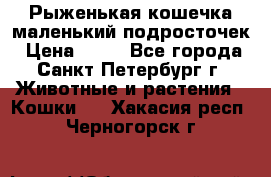 Рыженькая кошечка маленький подросточек › Цена ­ 10 - Все города, Санкт-Петербург г. Животные и растения » Кошки   . Хакасия респ.,Черногорск г.